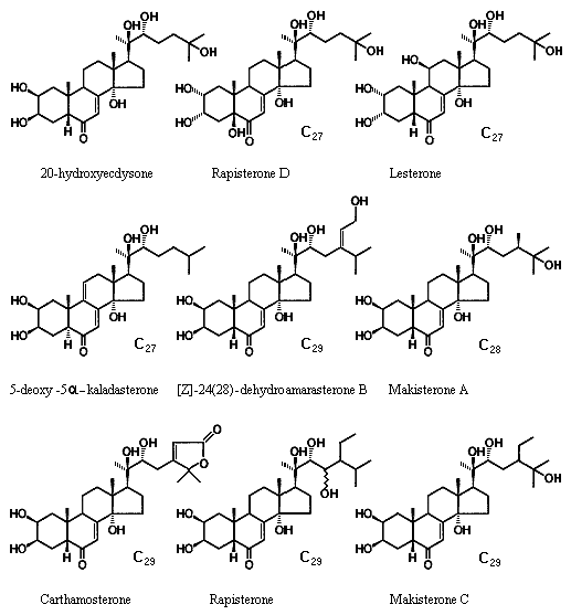 Ecdysteroids of Leuzea (Rhaponticum carthamoides, Maral root) - Химсостав экдистероидов растения Левзея или Маралий корень. Источник препарата Экдистен (46k);
   Figure Nikolay Timofeev