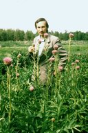 Field of  Leuzea carthamoides