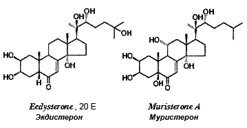 экдистероиды экдистерон, 20-гироксиэкдизон и муристерон - ecdysterone and muristerone