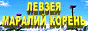 Левзея - маралий корень