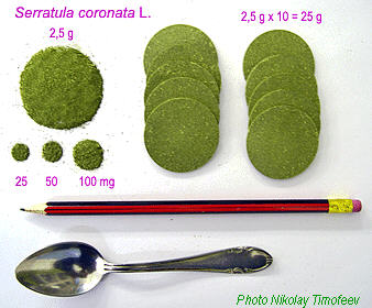 New Product from Serratula coronata;Photo Nikolay Timofeev (23k)