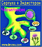 Серпуха экдистерон мега фото - serratula ecdysterone photo (26k)